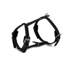 Das Lederband Barcelona Geschirr Black