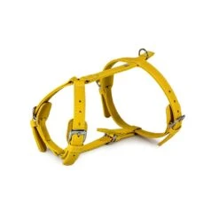 Das Lederband Barcelona Geschirr Vibrant-Yellow