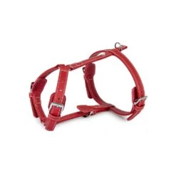 Das Lederband Barcelona Geschirr Indian-Red