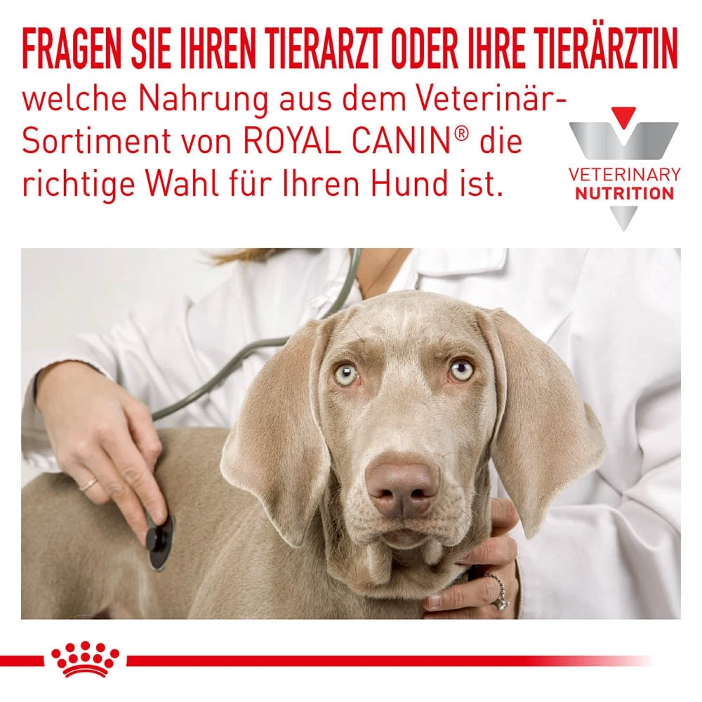 Royal Canin Hypoallergenic Puppy Trockennahrung Für Hundewelpen – Bild 7
