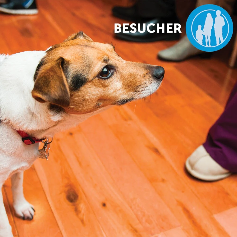 CEVA Adaptil Calm Halsband Für Kleine Hunde – Bild 4