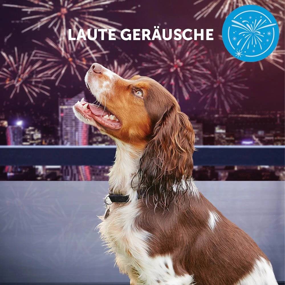 CEVA Adaptil Calm Halsband Für Kleine Hunde – Bild 5