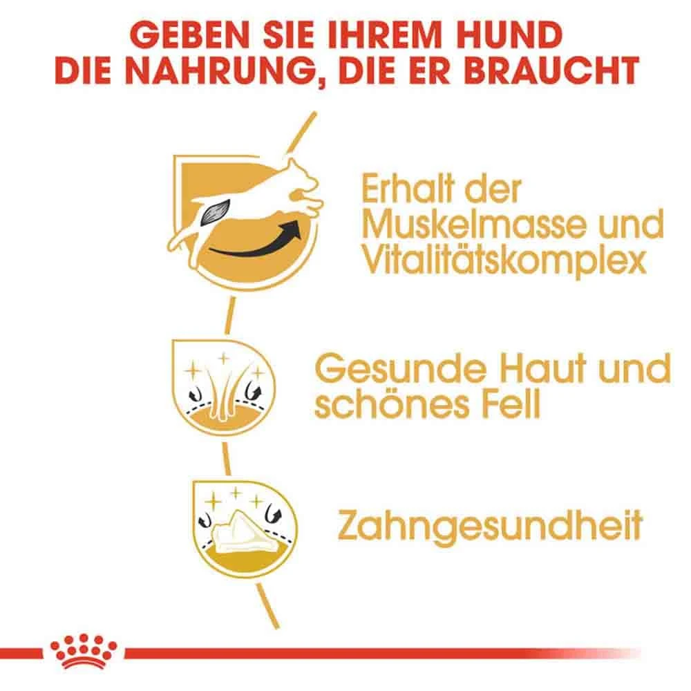 Royal Canin Jack Russell Terrier Adult Hundefutter Trocken – Bild 4