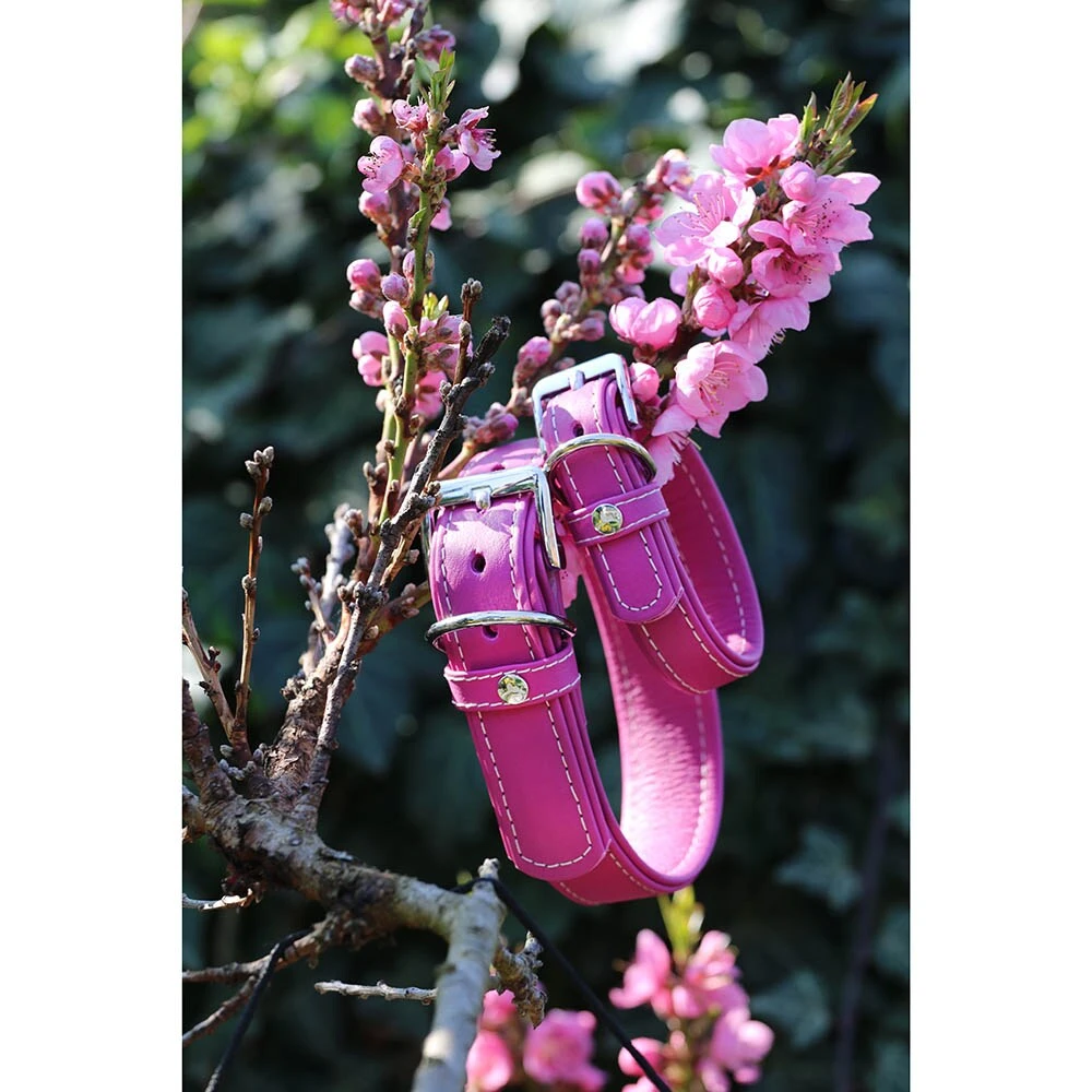 Das Lederband Barcelona Halsband Rose-Violet – Bild 4