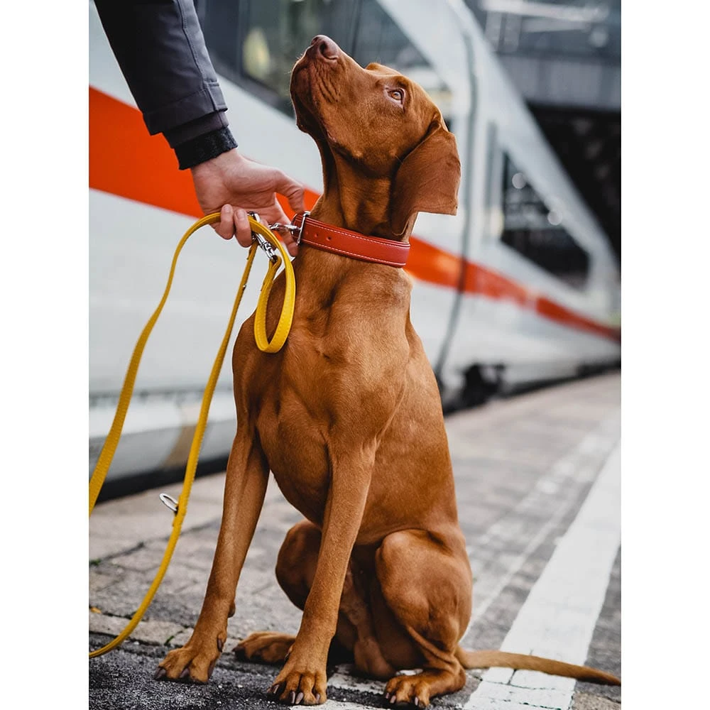 Das Lederband Barcelona Halsband Indian-Red – Bild 3