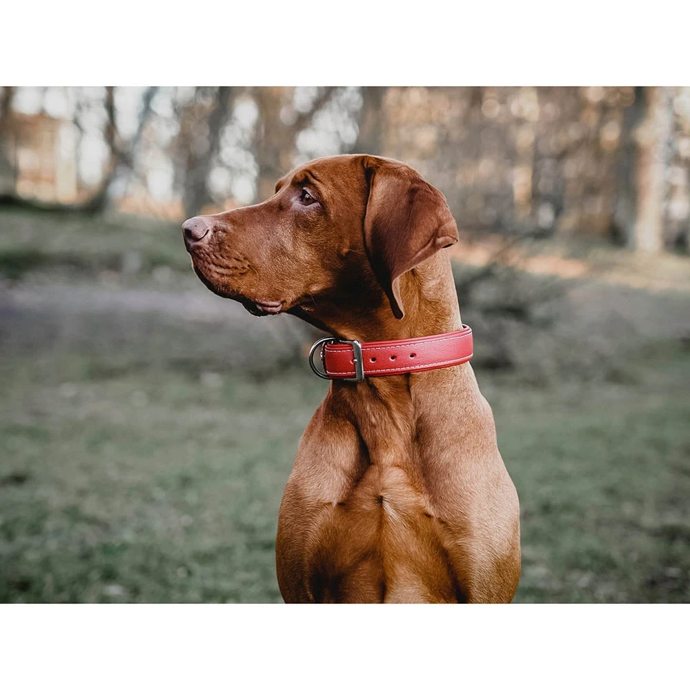 Das Lederband Barcelona Halsband Indian-Red – Bild 4