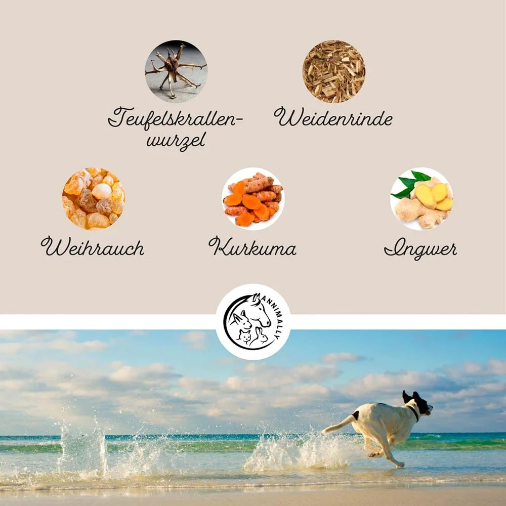 Annimally Gelenkpulver – Bild 5