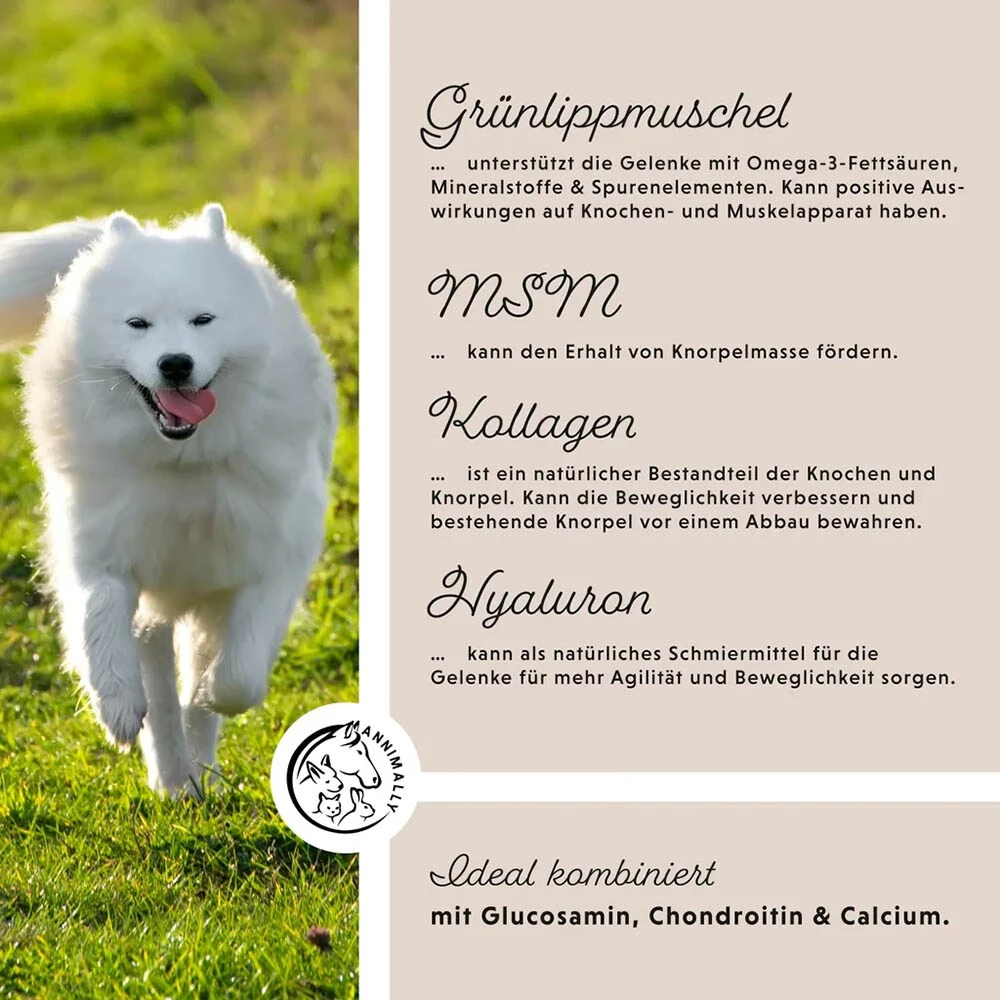 Annimally Gelenkpulver – Bild 4
