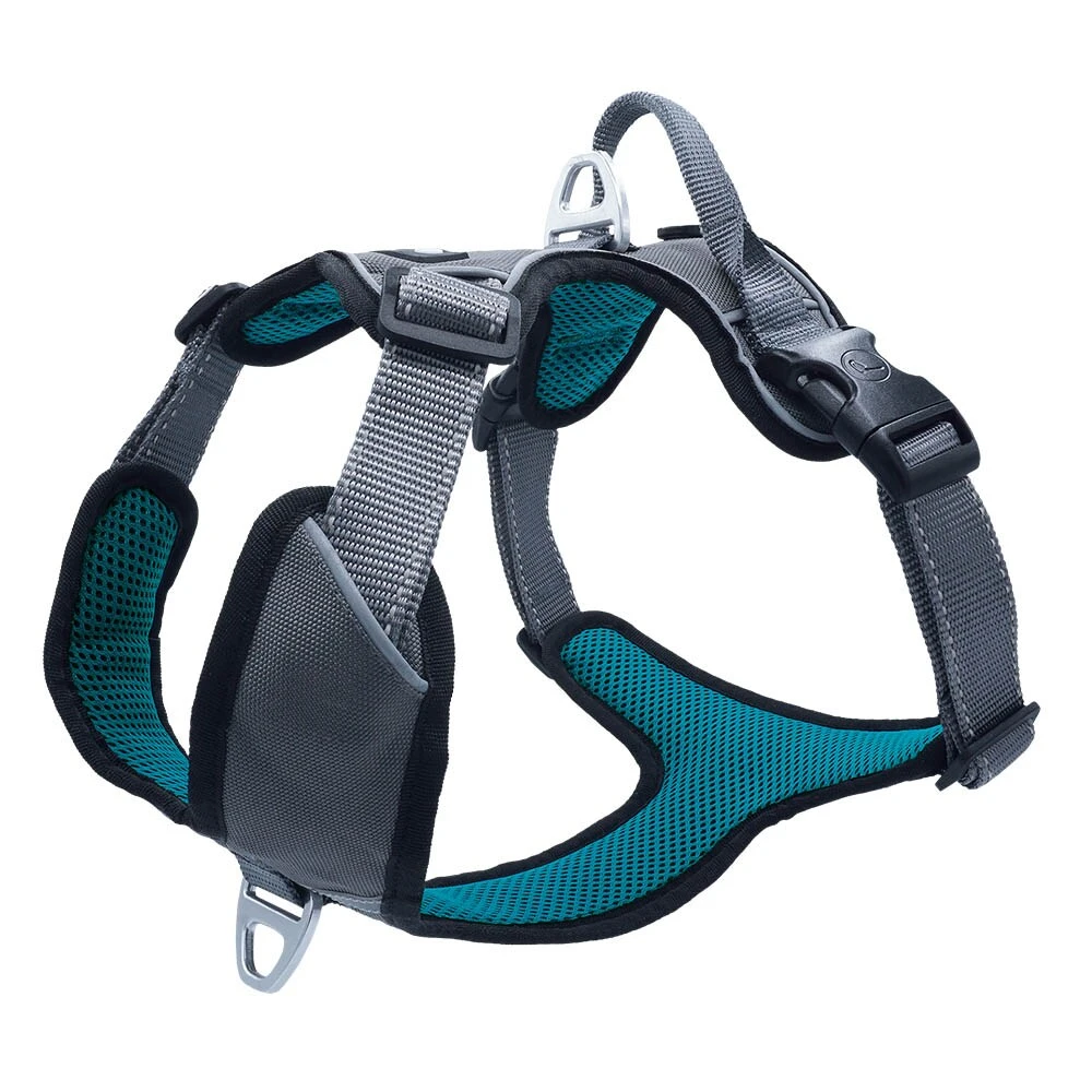 Petlando Outdoor Geschirr Petrol