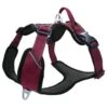 Petlando Outdoor Geschirr Berry