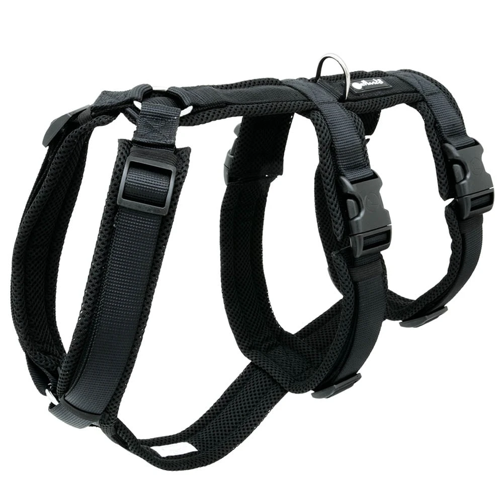 Petlando Sicherheitsgeschirr Schwarz