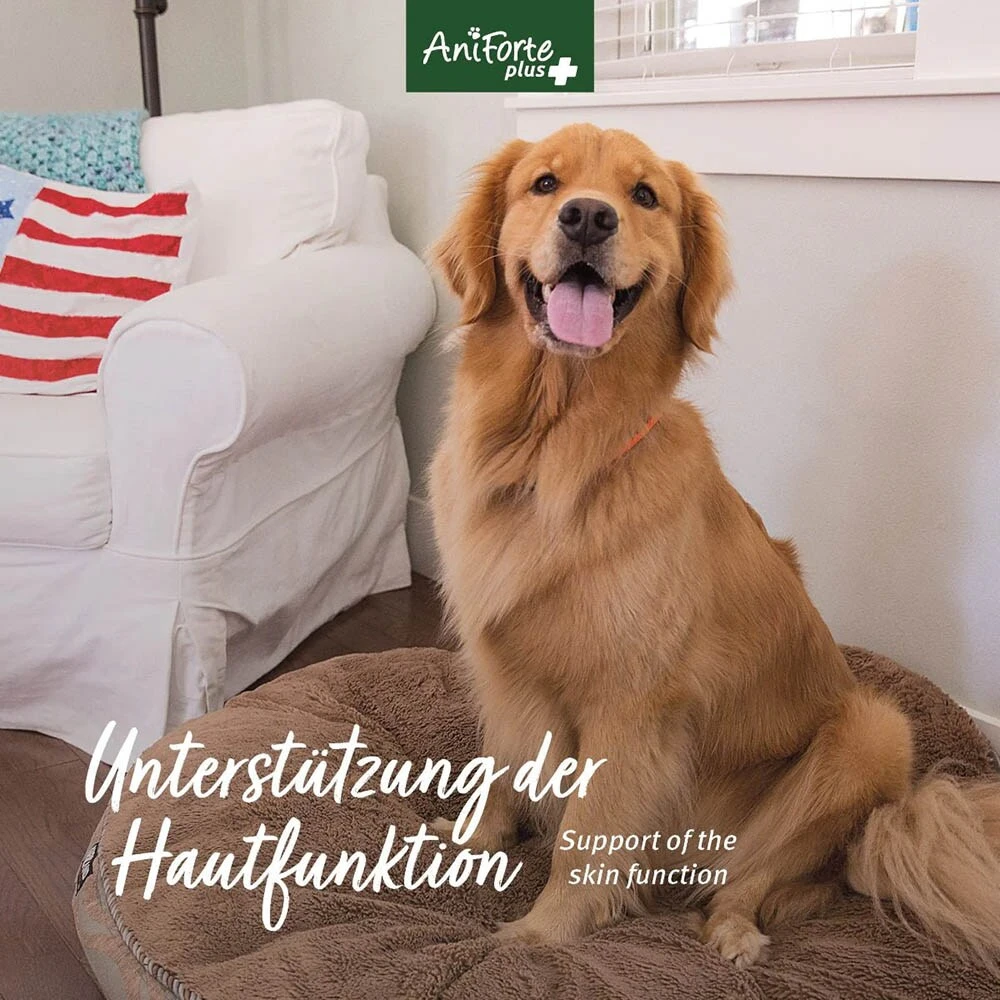 AniForte Plus Fell & Haut â Bild 6